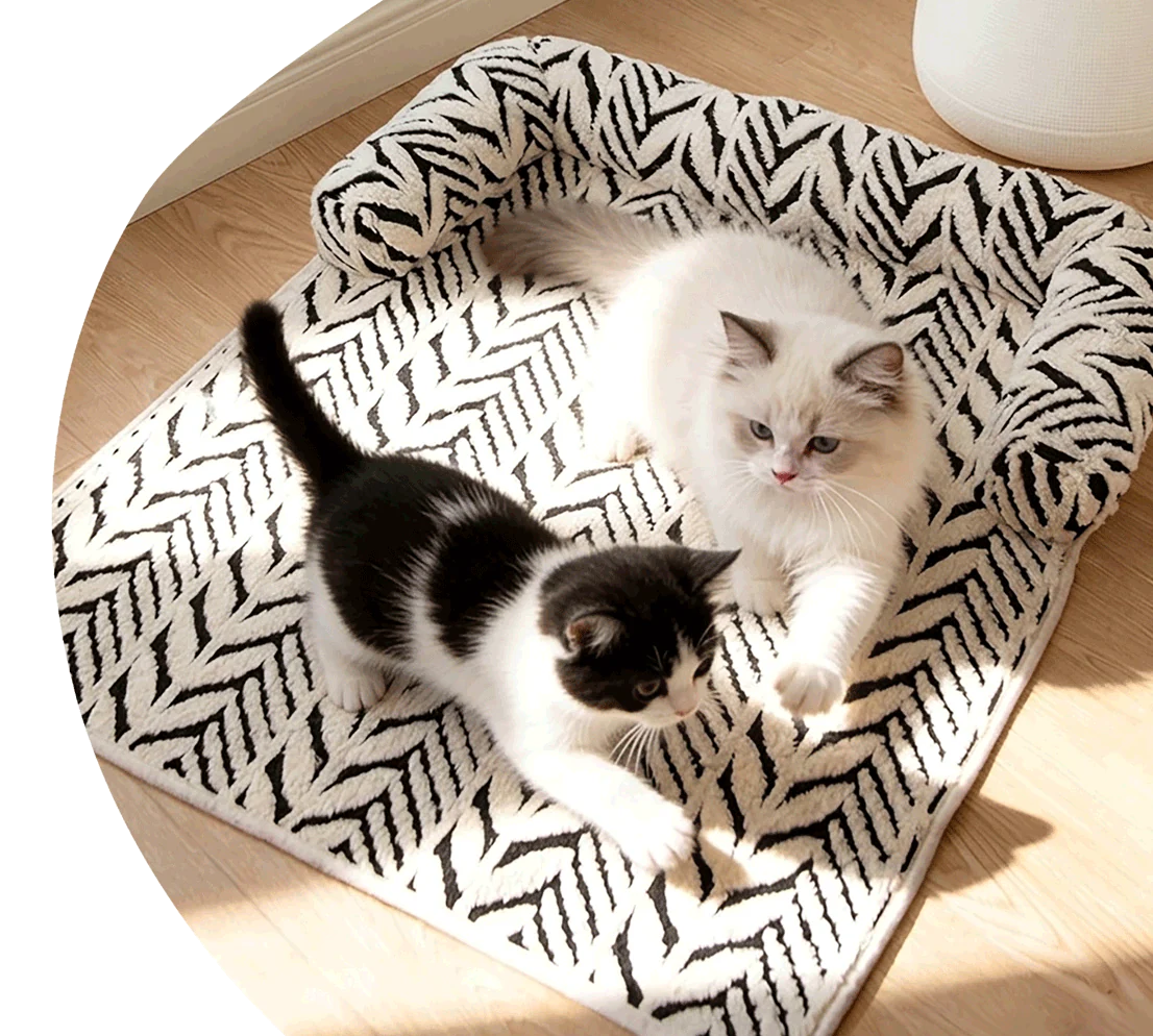 PROTECTYOUR SOFA WITHOUT FIGHTINGYOUR CAT