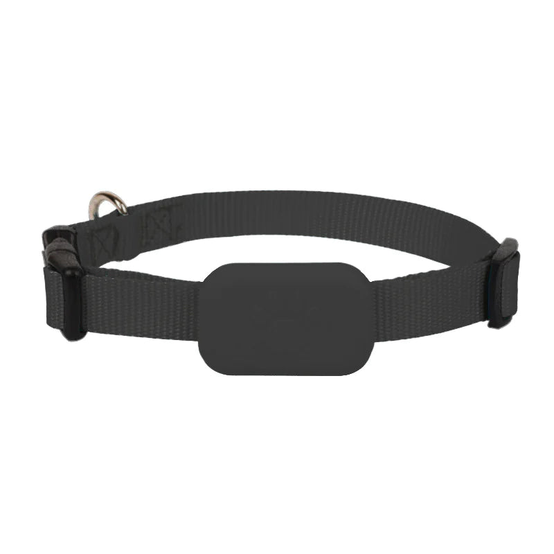 Anti-Lost Pet Tracker Collar