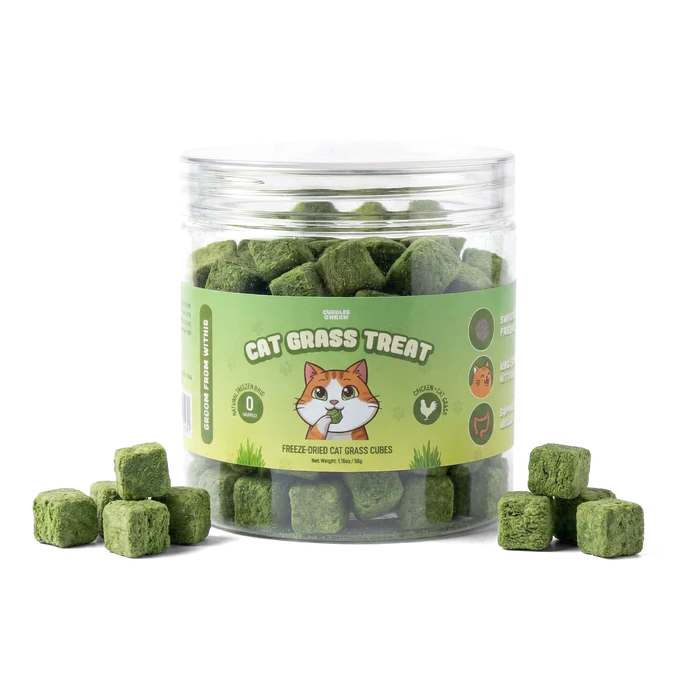 Cat Grass Treat