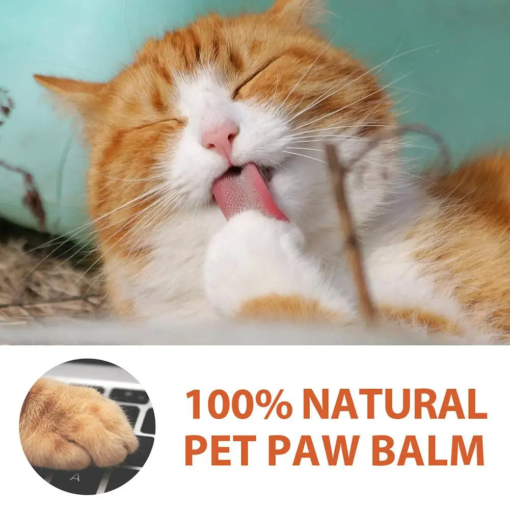 Pet Paw Moisturizing Cream